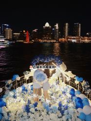 -迈瑞米求婚策划(静安店)