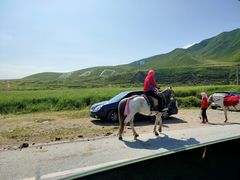 -扁都口生态休闲旅游区