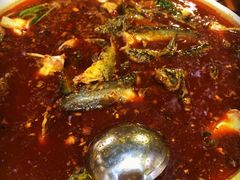 金海椒罐罐鲢鱼-金海椒罐罐鲢鱼(东方桂苑店)