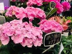 -豆豆花艺(新光天地店)