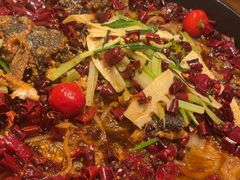 -老板恋上鱼(印象城店)