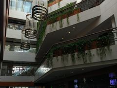 -护国新天地