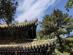 -潭柘寺景区