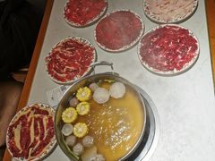 手锤牛筋丸锅底-汕头八合里海记牛肉店(清河店)
