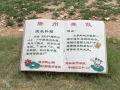 -微山湖红荷湿地景区