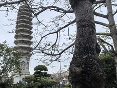 -金太郎自助烤肉.火锅(宝龙店)