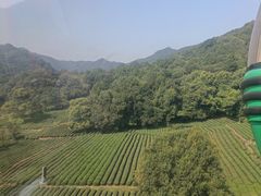 -灵顺寺