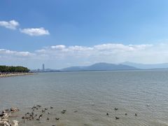 -深圳湾公园(南山区)