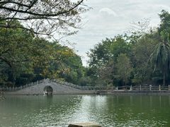 -广东茂名森林公园