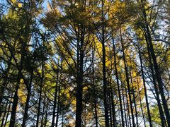 -长春市南湖公园