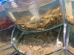 -仙螺岛海鲜自助餐厅(总店)