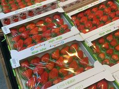 -果蔬好生活超市(乐堤港店)