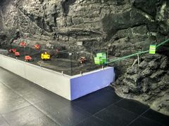 -抚顺煤矿博物馆