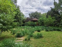 -莲花池公园