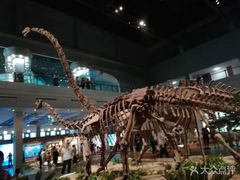 -自贡恐龙博物馆