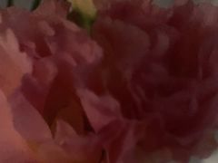 -循礼门鲜花花市(武汉循礼门店)