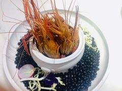 花雕醉沼虾-径山十八道·风味民间菜(杭州总店)