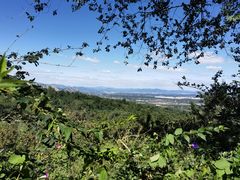 -阳台山自然风景区