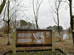 -梁鸿国家湿地公园
