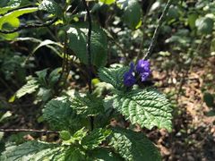 -龙坑生态保护区