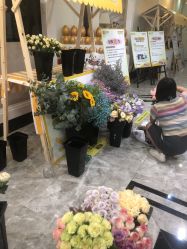 点击看大图 -深圳阳光医疗美容