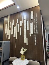 -加减美医美连锁品牌