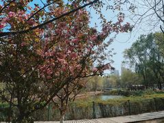 -长白岛森林公园