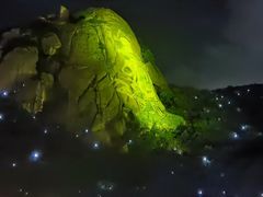 -印象普陀