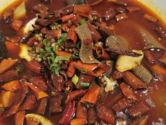 -大鸭梨烤鸭(左家庄店)