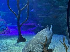 -沈阳海洋探索中心