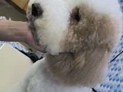 -宠颐生宠物医院·心肾内科·猫专科诊疗中心宠巢店