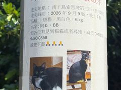 -南丫岛