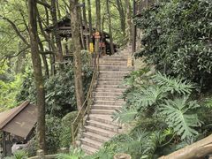 -巴倒烫陆派火锅山庄(南山总店)