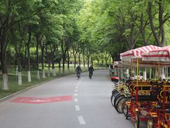 -贡湖湾湿地公园