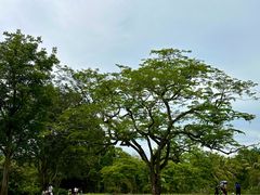 -中国科学院西双版纳热带植物园
