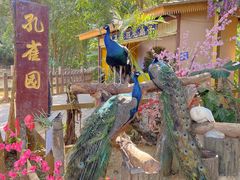 -西双版纳勐泐文化旅游区