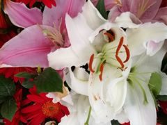 -简单花艺(宝龙万象店)