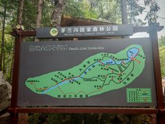 -茅兰沟国家森林公园