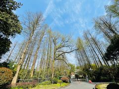 -杭州西湖柳莺里酒店·闻莺厅