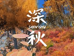 -Catail前苑(前门大街店)