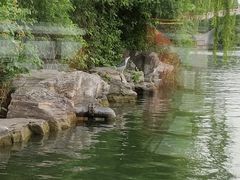 -济南大明湖景区
