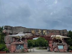 -上海海湾国家森林公园