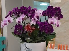 -佛山中大口腔医院·市二级口腔专科医院