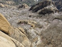 -北京凤凰岭