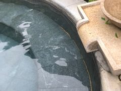 -汇雅温泉