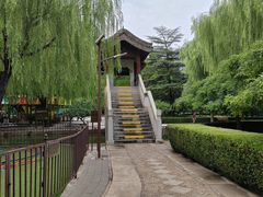 -团结湖公园
