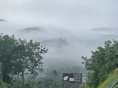 -海南热带雨林国家公园吊罗山景区