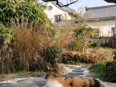 -天朝元辅-徐州民俗博物馆