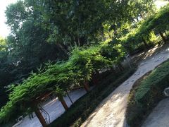 -西安市长乐公园