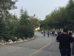 -威海华夏城景区